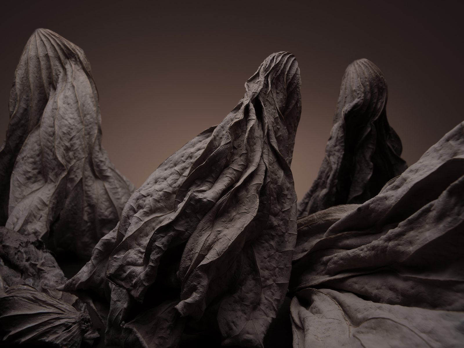 Waste Land 05