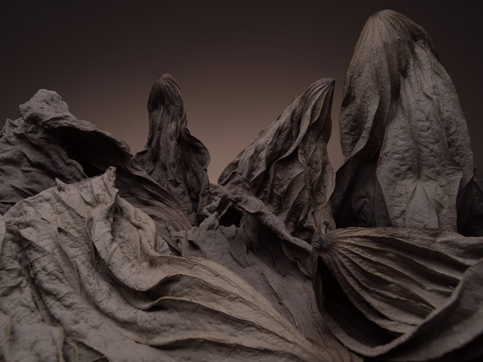Waste Land 08