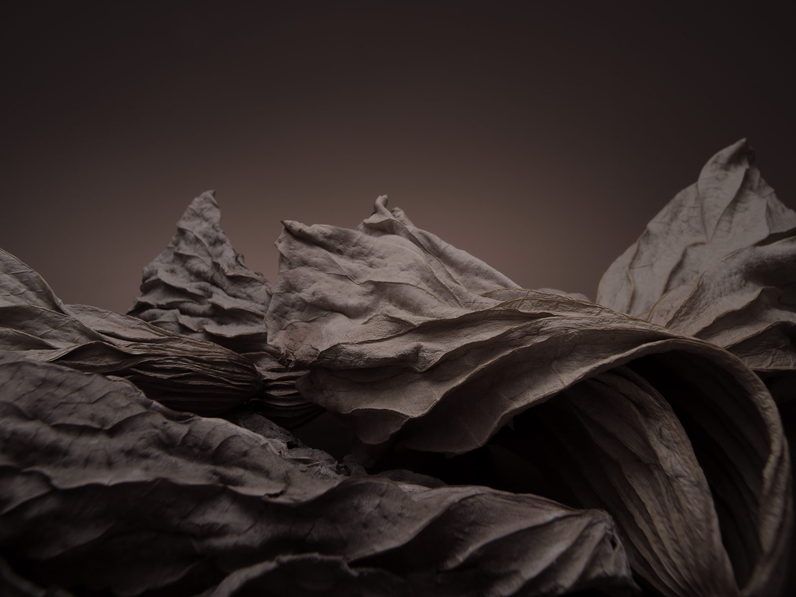 Waste Land 12