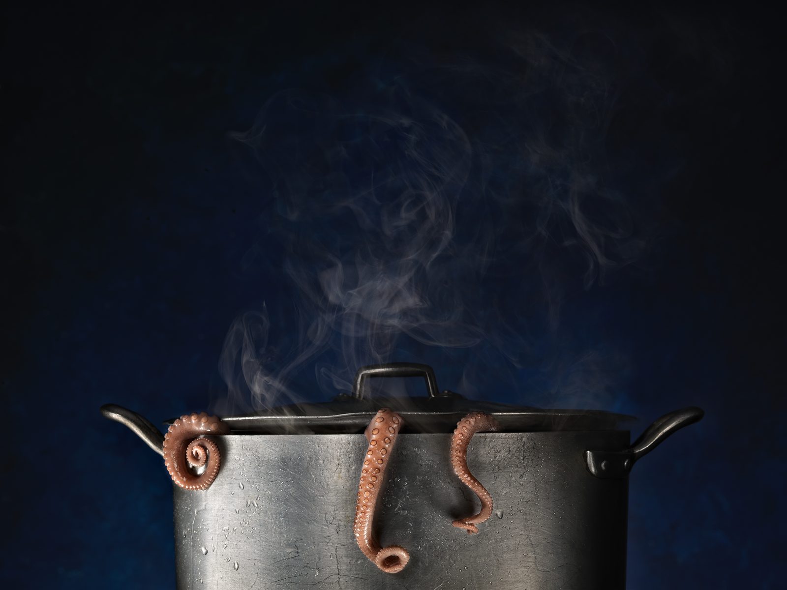 Food 02