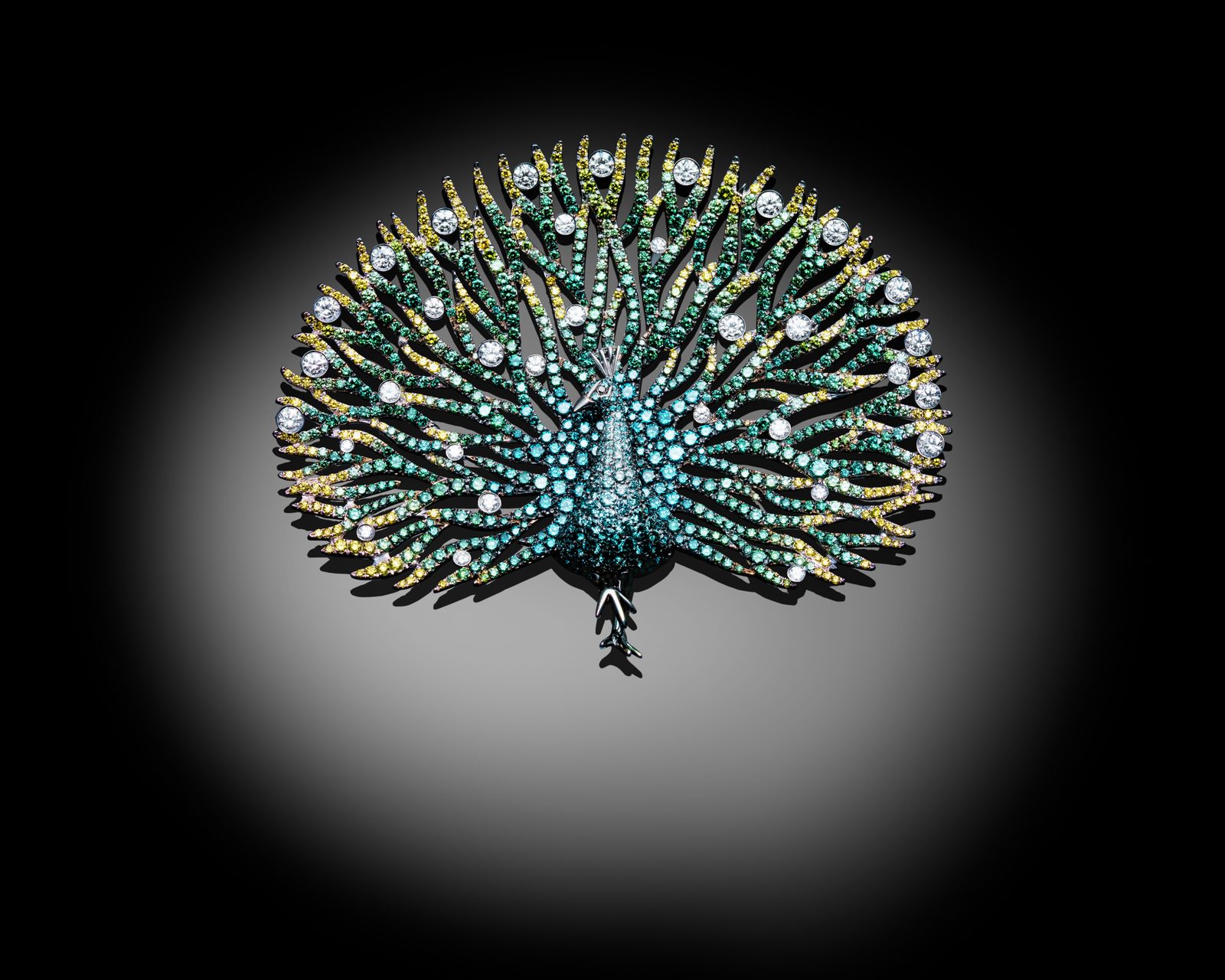Jewels & Watches 03